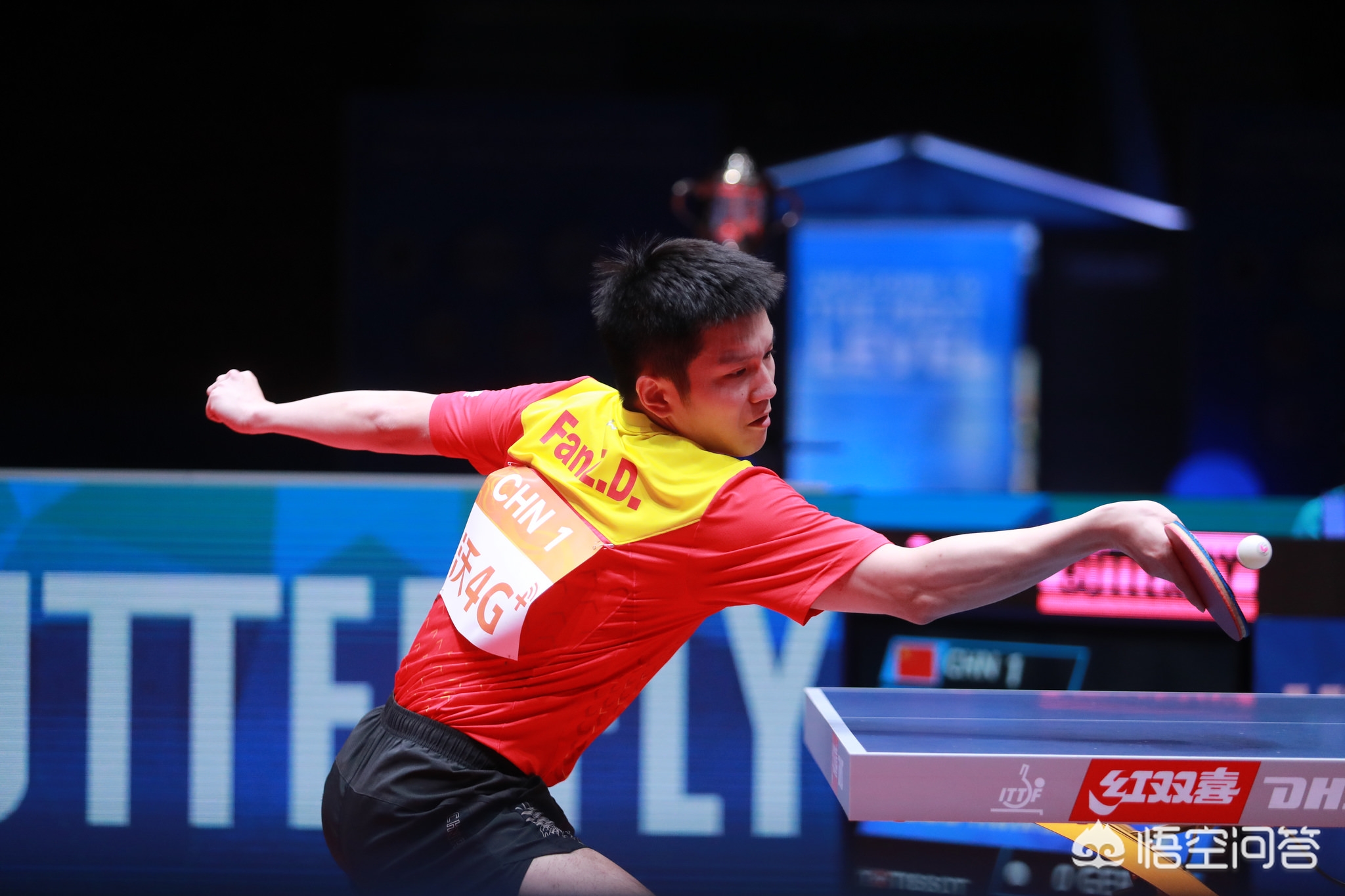 营地布局与 营地布局与